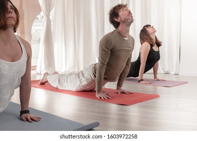 Group Of People Relaxing In A Yoga Position -Urdhva Mukha Shvanasana - Dog Laying With The Muzzle Down.