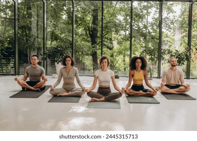 Group of people sitting in lotus pose on yoga mats in studio - Powered by Shutterstock