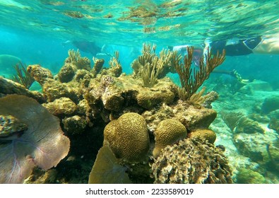 Group of people snorkeling near sunken ship under the sea. Beautifiul underwater colorful coral reef at Caribbean Sea at Honeymoon Beach on St. Thomas, USVI - travel concept - Shutterstock ID 2233589019