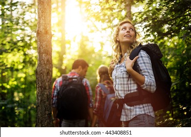 Group of people trekking in forest