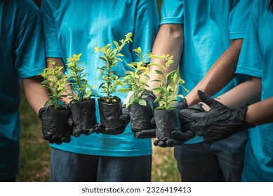 Group of people volunteering holding a sapling of a tree to be planted, which is a campaign to raise awareness of global warming. to volunteer and save the world concept. - Powered by Shutterstock