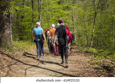 Group Of People Walking By Hiking Trail
