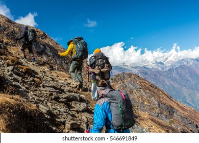 Aged Person Practicing Extreme Sport Elderly Stock Photo 319905242 ...