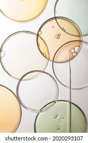 Group Of Petri Dish With Liquid And Bubbles On White Background.