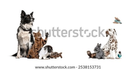 Similar – Image, Stock Photo diversity Text variety