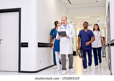 Group Photo Of Young Diverse Medics During Conversation With Senior Confident Doctor In Hospital Corridor Aisle. Medicine Concept