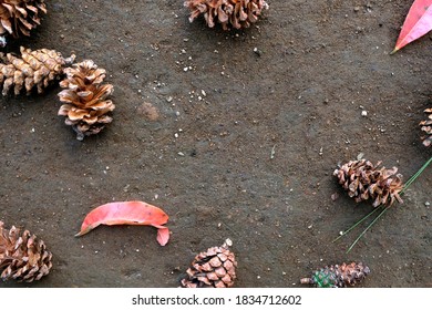Group of pine cones and two red leaves fallen on the ground. Frame of autumn composition.