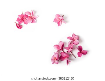 Group of Pink Frangipani isolated on White - Shutterstock ID 383212450