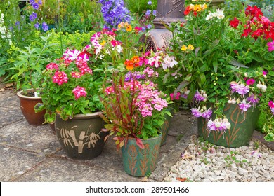 Group Of Plant Containers With Colorful Summer Flowers.