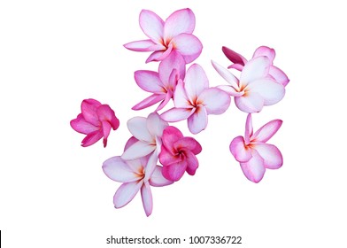 881,917 Flower groupings Images, Stock Photos & Vectors | Shutterstock