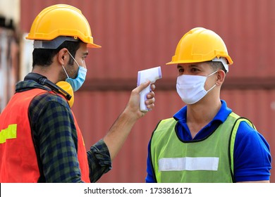 Group Of Professional Foreman Worker  Use Infrared Forehead Thermometer,thermometer Gun To Check Body Temperature  At Container Cargo Harbor Industrial Import-export Before Loading Containers Work. 