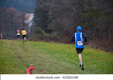 Group Of Professional Runners On Cross-country Race. Athlete Running In Autumn Nature. Sport Photo With Space For Your Montage.