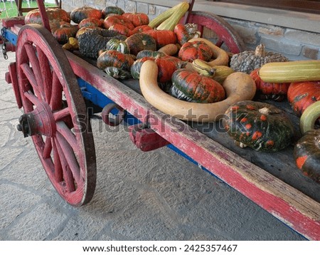 Group of pumkins of different curious shapes and colors displayed on an antique wooden wagon