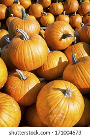 group of pumpkins at a meadow