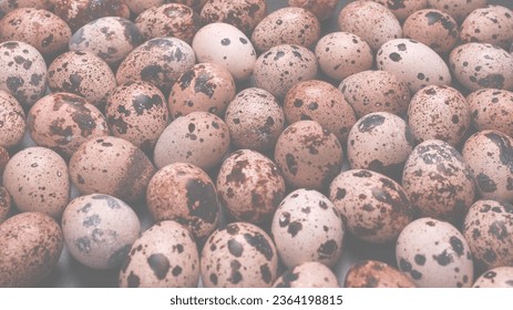 Group of quail eggs as a background. Raw eggs. - Shutterstock ID 2364198815