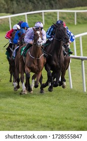 Group of race horses and jockeys competing on the race track