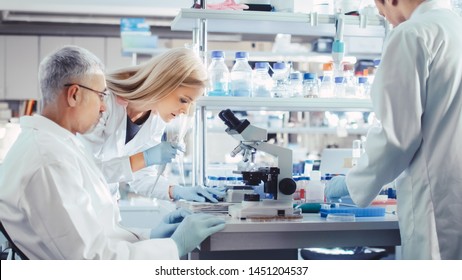 Group of Research Scientists in White Coats are Working with Microscope in a Modern High-Tech Laboratory. Genetics and Pharmaceutical Studies and Researches.