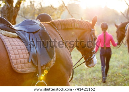 Group of rider girls walking with horses in park. Equestrian recreation activities background with copy space