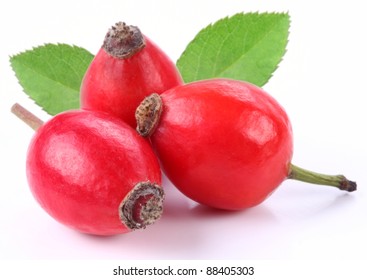 Hip Rose Hd Stock Images Shutterstock