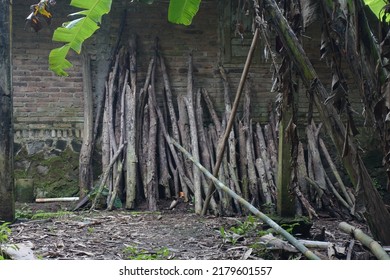 a group of rows of wood propped against the back wall of the house ready to be used for cooking