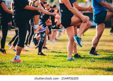 Group running warm up, Legs on beautiful green grass in warm light. Team training, stretching and core exercise - Powered by Shutterstock