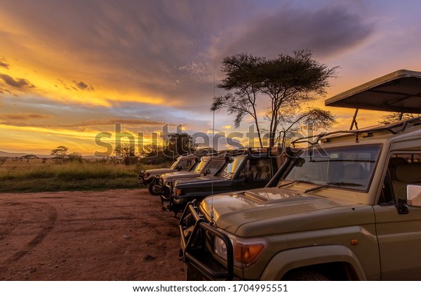 Group of safari cars during sunset in Serengeti\
National Park in Tanzania