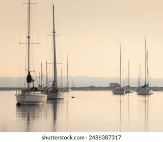 Group of sailboats docked in body of water. North Solent stuary, Hampshire, UK. The scene is calm and peaceful, with the boats reflected on the water on an early misty morning - Powered by Shutterstock