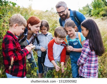 Group Of School Children With Teacher On Field Trip In Nature, Learning Science.