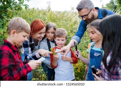 Group of school children with teacher on field trip in nature, learning science.