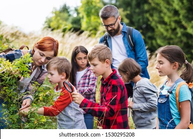 Group of school children with teacher on field trip in nature, learning science.