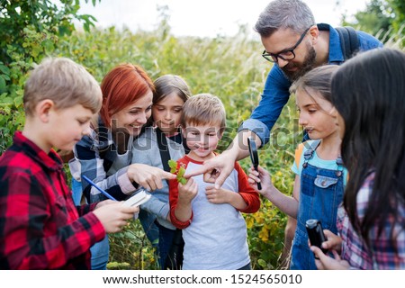 Similar – Image, Stock Photo nature Environment Nature