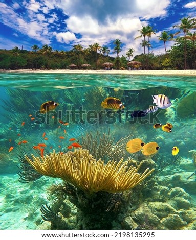 Group of scuba divers exploring coral reef. Underwater sports and tropical vacation. Beautiful sunny tropical beach on the island paradise and underwater world with coral fishes.