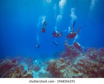 Group of scuba divers swimming over a reef. Chinchorro diving.  