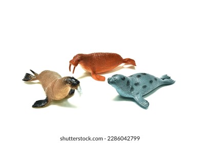 A group of sea lions.seal.plastic animal toys.on a white background.suitable for children