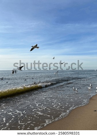 Similar – Image, Stock Photo Stormy sea with foamy waves