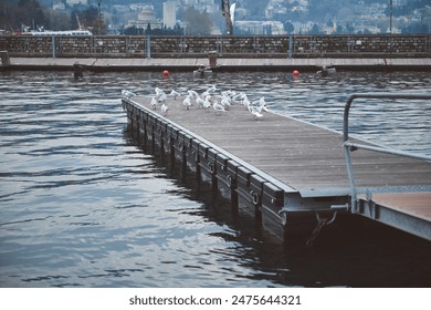 A group of seagulls perched on a wooden dock extending into a calm lake, with a scenic mountain town in the distance. Peaceful and serene outdoor setting. - Powered by Shutterstock