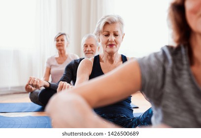 Group Of Senior People Doing Yoga Exercise In Community Center Club.