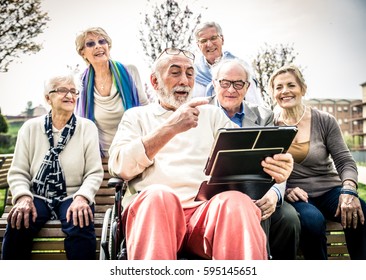 Group Of Senior People Resting In A Park - Mature Friends Doing Some Activities In A Retirement Home