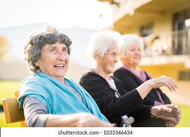 Group Of Senior Women Together In Nature