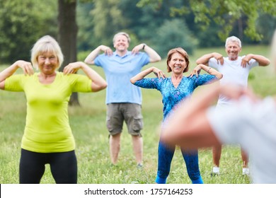 Group of seniors doing gymnastics course for health and fitness in the park - Powered by Shutterstock