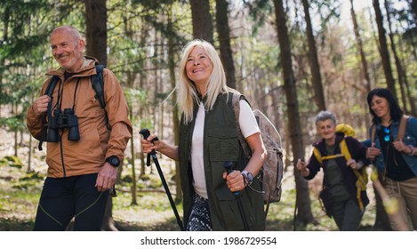 Group of seniors hikers outdoors in forest in nature, walking. - Powered by Shutterstock