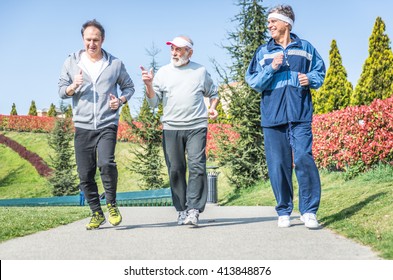 Group Of Seniors Making Jogging At The Park