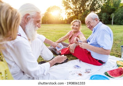 Group of seniors making a picnic at the park and having fun.