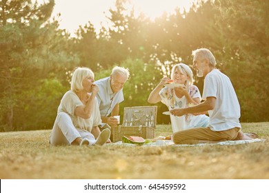 Group of seniors in the park in a picnic in summer having fun - Powered by Shutterstock