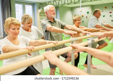 Group of seniors at the physiotherapy at a ballet bar in front of a mirror in physiotherapy