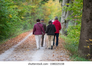 Group Of Seniors Walking / Hiking Through A Forest