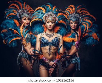 Group Of A Sexy Girls In A Colorful Sumptuous Carnival Feather Suit.