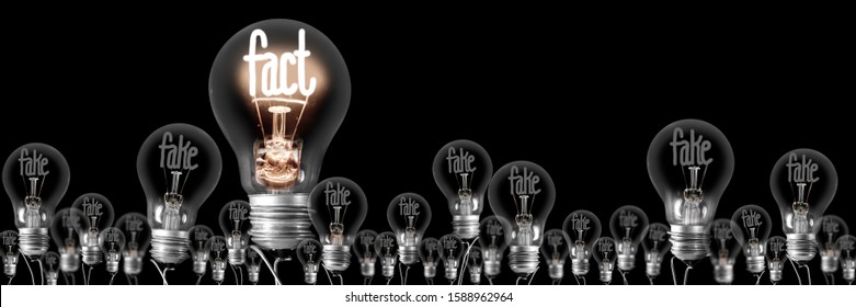 Group of shining and dimmed light bulbs with fibers in a shape of Fake and Fact concept words isolated on black background. - Shutterstock ID 1588962964