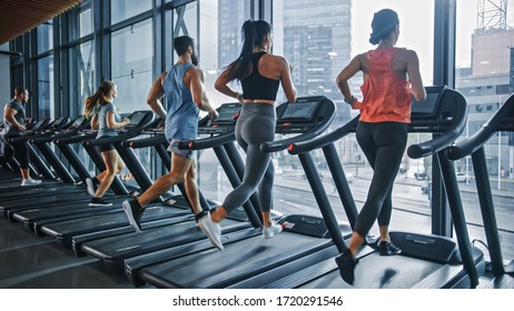 Group of Six Athletic People Running on Treadmills, Doing Fitness Exercise. Athletic and Muscular Women and Men Actively Workout in the Modern Gym. Sports People Workout in Fitness Club. Side View - Powered by Shutterstock