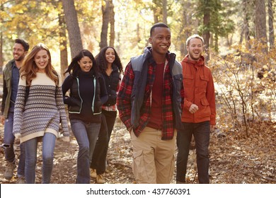 Group Of Six Friends Hiking Together Through A Forest